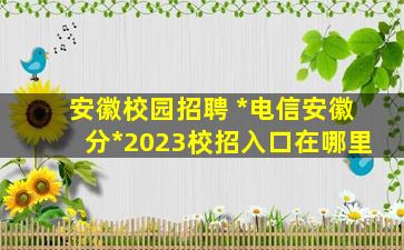 安徽校园招聘 *电信安徽分*2023校招入口在哪里